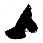 Bird with crested head and large tail, decals stickers