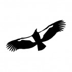 Seagul flying underneath view, decals stickers