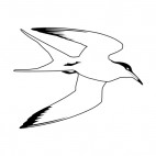 Seagull flying, decals stickers