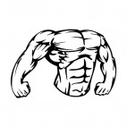 Muscular body showing chest and arms mascot, decals stickers