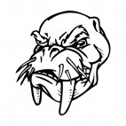 Walrus face with tusk and whiskers mascot, decals stickers