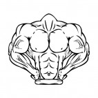 Muscular body posing mascot, decals stickers