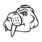 Walrus face with tusks mascot, decals stickers