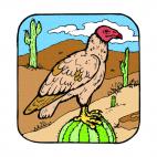Vulture on a cactus, decals stickers