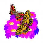 Red and orange butterflies, decals stickers