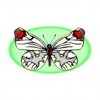 White butterfly, decals stickers