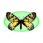 Yellow and brown butterfly, decals stickers