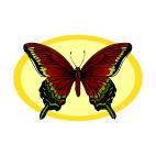 Red and green butterfly, decals stickers