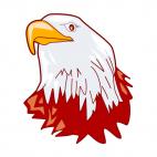 Eagle face, decals stickers