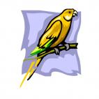 Yellow parrot, decals stickers