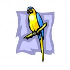 Yellow and blue parrot, decals stickers