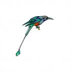 Bird long tail, decals stickers