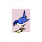 Blue nightingale, decals stickers