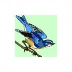 Blue bird, decals stickers