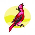 Red cardinal, decals stickers