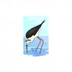 Crane bird, decals stickers