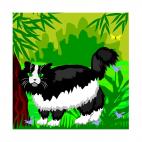 Black and white cat, decals stickers