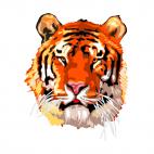 Tiger face, decals stickers