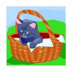 Cat in a basket, decals stickers