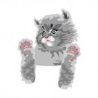 Grey cat with paws up, decals stickers