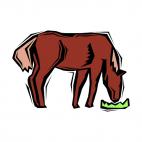 Brown horse eating, decals stickers