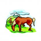 Horse in the pasture, decals stickers