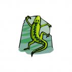 Lizard, decals stickers