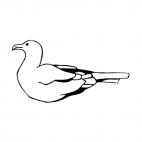 Seagull floating, decals stickers