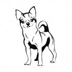 Chihuahua, decals stickers