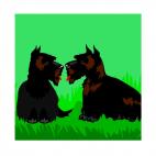 Two schnauzers looking at each other, decals stickers