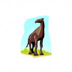 Prehistoric camel, decals stickers