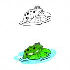 Frog on lilies, decals stickers