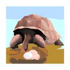 Tortoise protecting her eggs, decals stickers