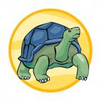 Giant tortoise, decals stickers