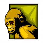 Monkey, decals stickers