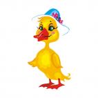 Duck with hat, decals stickers