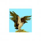 Eagle with wings wide open, decals stickers
