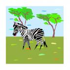 Zebra in the nature, decals stickers