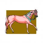 Pink horse walking, decals stickers