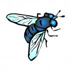 Bottle fly, decals stickers