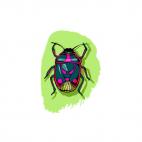 Scarab, decals stickers