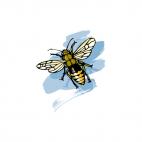 Bee, decals stickers