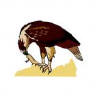 Hawk with mouse in his mouth, decals stickers