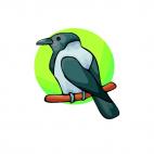 Hooded crow, decals stickers