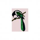 Magpie on a twig, decals stickers