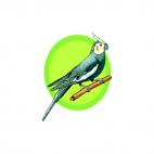 Cockatoo on a twig, decals stickers