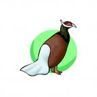 Pheasant, decals stickers