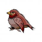 Puffbird, decals stickers