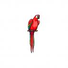 Red parrot perched, decals stickers