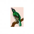 Siberian thrush perched, decals stickers